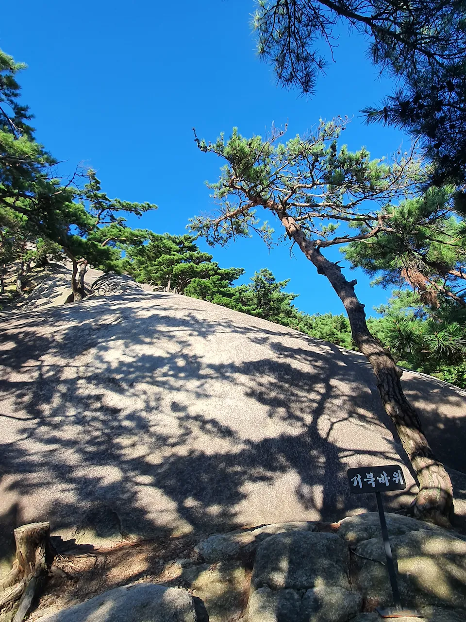 거북 바위